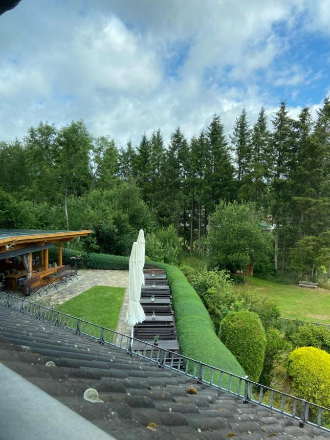 Haus Petra Stadtkyll Exterior foto